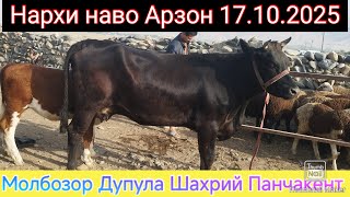 Молбозор Дупула Шахрий Панчакент Вилоят Сугд Точикистон 17.10.2025