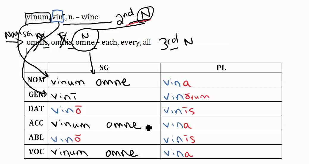 Declining Latin Nouns 92