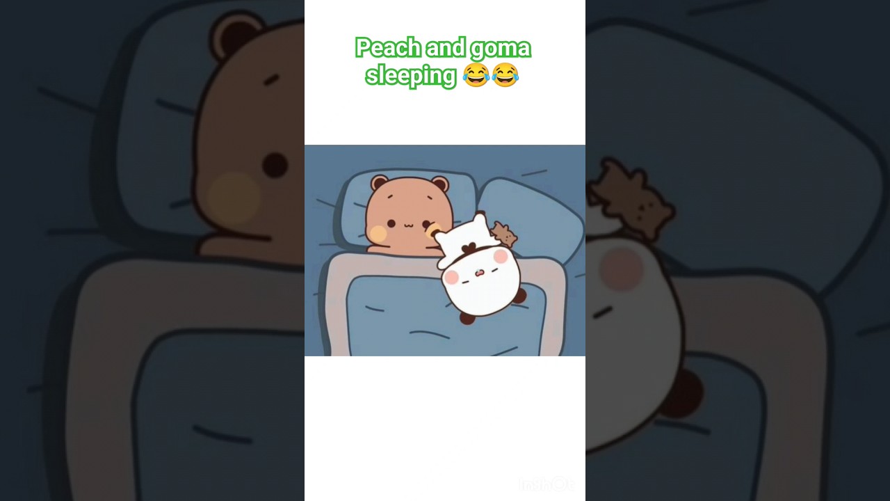 peach and goma sleeping 😂😂 | cute couple video | cat video | funny