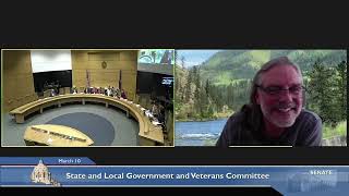 Committee on State and Local Government and Veterans - 03/10/23 screenshot 1