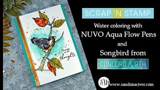 How to Paint with the Nuvo Aqua Flow Pens
