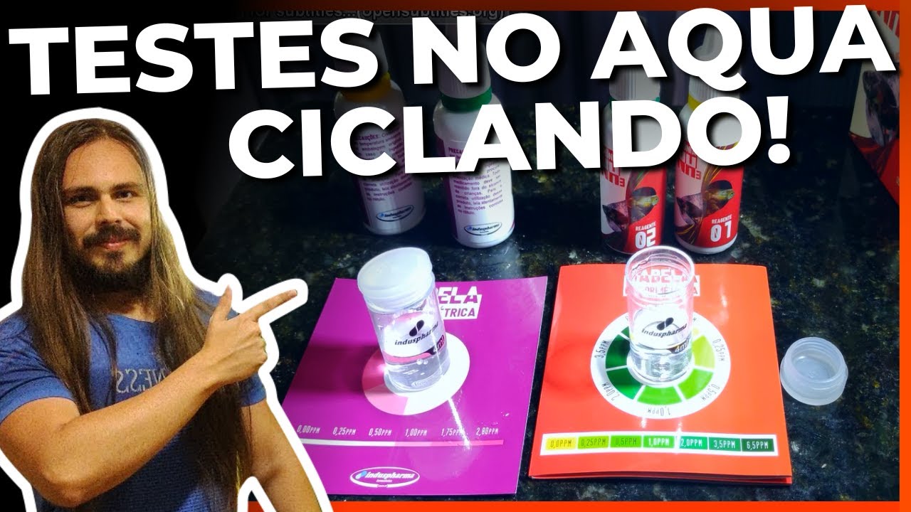 🔴TESTES DE PH, AMÔNIA, NITRITO E NITRATO! MEU PRIMEIRO AQUÁRIO DE BETTA: EP. 04 |Mr. Betta|