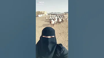 ياغنماتي غنو معيا 