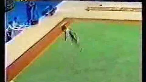 Sarah Mercer - 1989 European Championships AA - Fl...