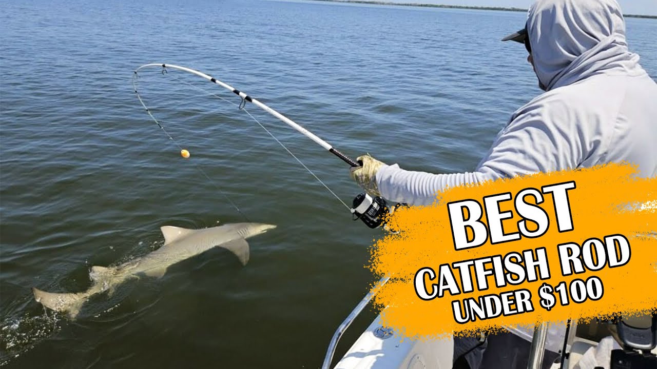 Top 6 Best Catfish Rod Under 100 Our Favorite Picks! YouTube