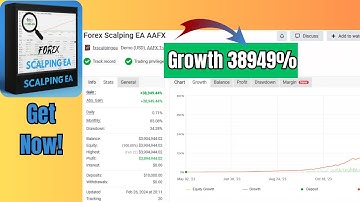 Forex Scalping EA MT4 – Pure Price Action, No Martingale!