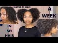 A Week In My Natural Hair | Wash, Style, Preserve, Refresh, and Maintain Curls For A WEEK+
