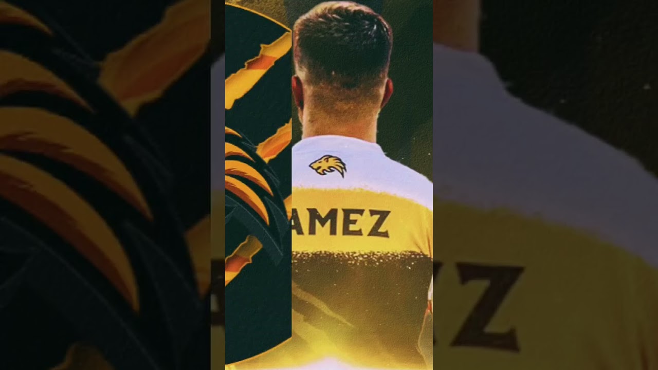 My Org Recognised Talent | 