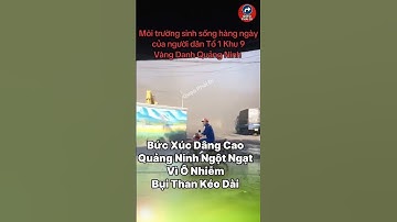 Bức Xúc Dâng Cao! Quảng Ninh Ngột Ngạt Vì Ô Nhiễm Bụi Than Kéo Dài!” #tintuc #cuocsong