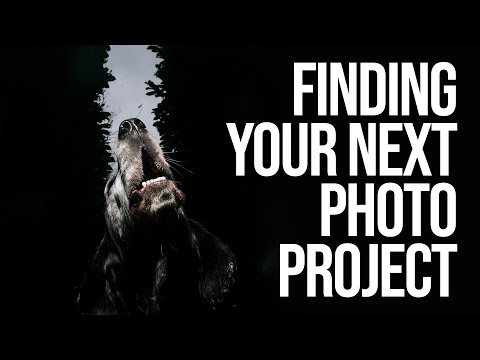 Videó: 25 A legnagyobb / legrosszabb Panorámikus kutya képeket, amelyeket az amatőr fotósok kínálnak