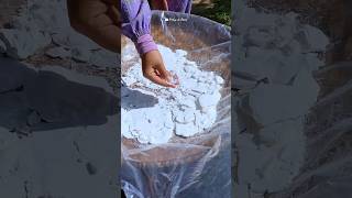 Download Lagu Membuat tepung tapioka dari panen singkong di kebun | cassava strach #countrysidevlog #rurallife MP3