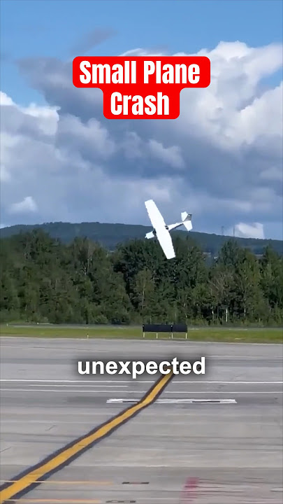 The real story behind this viral video #plane #crash #pilot