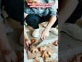 Stop Cutting Ginger Seeds Like This!#shortsfeed #gardeningtips