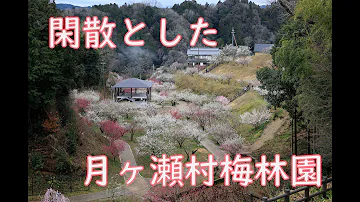 تحميل 奈良県月ヶ瀬村女子中学生殺人事件 تحميل 奈良県月ヶ瀬村女子中学生殺人事件