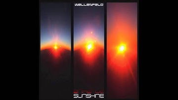 Wellenfeld - Sleepwalker