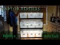 RAPTOR REPTLES: Building a Baby Rack