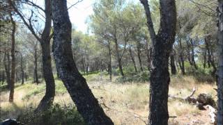 Cee Lo Green - Forget You Chipmunk