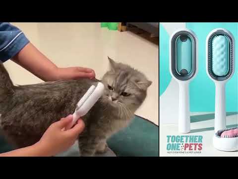 مشط س حري للحيوانات الآليفة