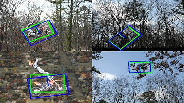 Efficient Rotation Invariant Object Detection using Boosted Random Ferns.