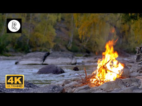 🔥 Crackling Fire by the River w/ Owls - Relaxing Sounds for Insomnia, Sleep