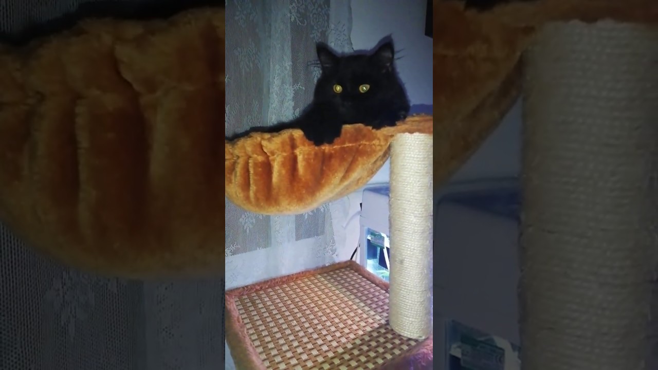 Please do not disturbed! Please do not disturbed!