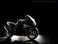 Honda CBR  XX1100  blackbird