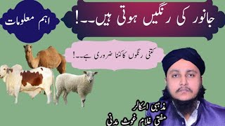 Janwar Ki Chaar Ragon Me Se Teen Ka Katna Zarori Hy | Qurbani K Masail | Mufti Ghulam Ghous Madni