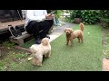 モコハルとシャボン玉で遊ぶだけ