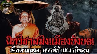 ฝึกวิชาสมิง!ที่เมืองบังบด!เดินตามดงอาถรรพ์เขมร:หลวงพ่อคง วัดวังสรรพรส|จับเรื่องมาเล่า