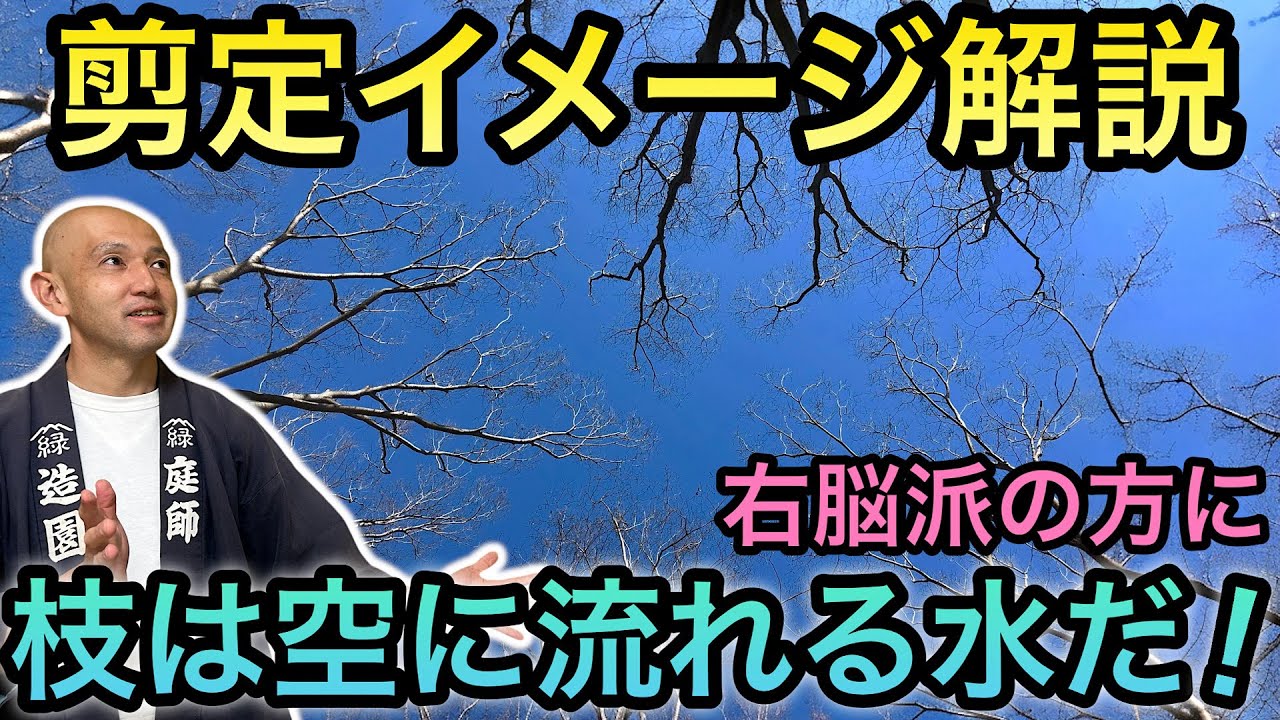 You'll suddenly become good at pruning!] Just by reading the flow