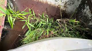 Hopper View - Paddle Packer Clearing A Full Hopper - Loud Crushing