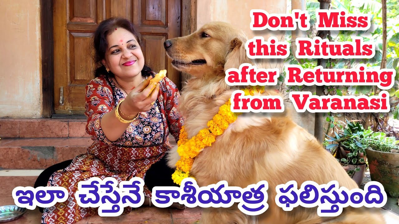Don't Miss these Rituals after Returning from Varanasi llKasi Diaries Part 28 @chumscreations6589