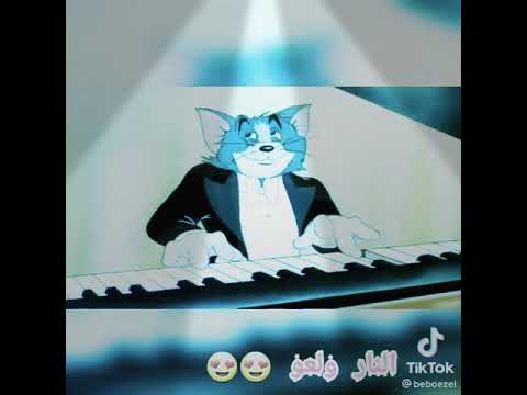 ابرد يا توم طاسو هلوس بيكم