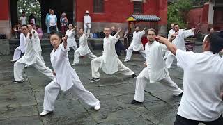 Wudang Dragongate Kungfu Temple Training - Nanyan Palace - Wudang 2018