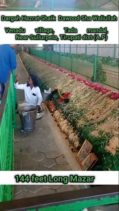 Venadu dargah |#shorts