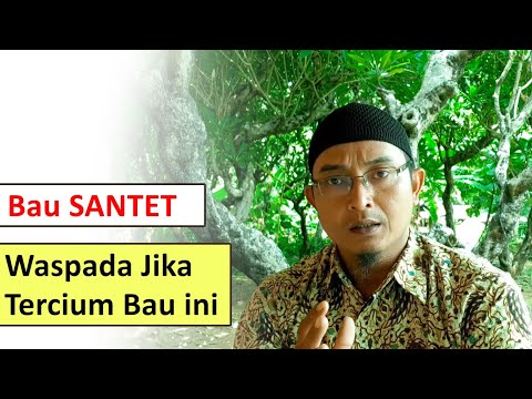 Video: Mengapa lap piring berbau?