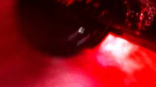 Manitobas Best Waterslide, The Dragon Pov At Fun Mountain Waterpark, Winnipeg