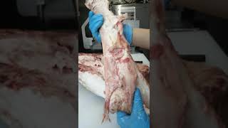 奈良 大和榛原牛 うし源本店 クラシタロース すじ引き