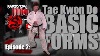 EPISODE 2 Tae Kwon Do Basic Forms screenshot 1