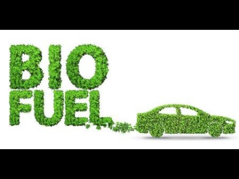Biofuel:- Renewable source of Energy SCIENCE Class 8th ...