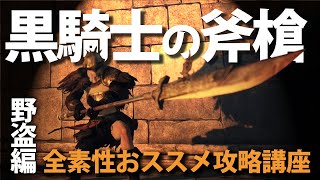 素性：野盗なら「黒騎士の斧槍」で最適な攻略を目指せ！！【今更ダクソ2攻略解説】