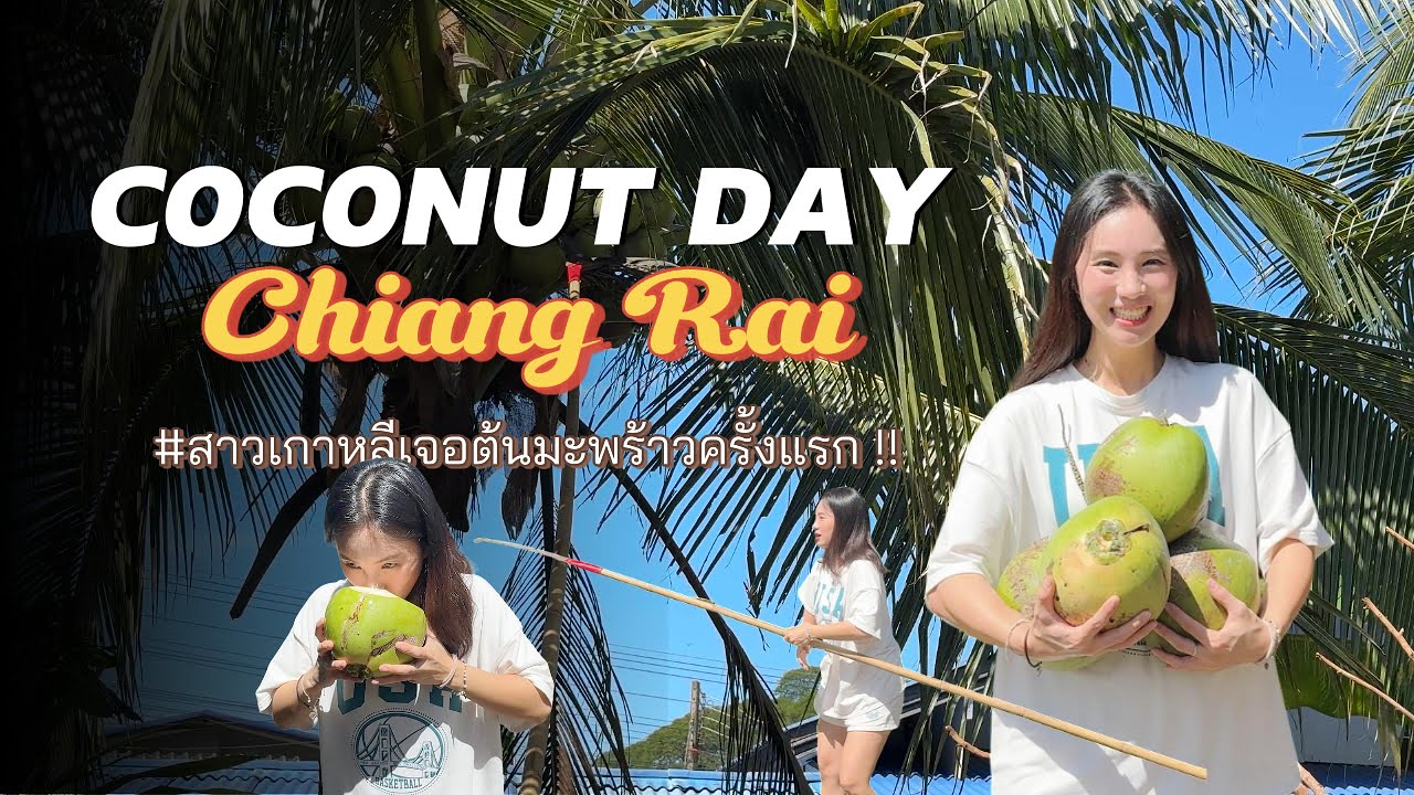 Кореянка возвращается домой собирать кокосы. Давайте собирать кокосы! Давайте собирать кокосы! Да...