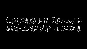 القارئ جعفر السعدي.  سورة النحل برواية ورش