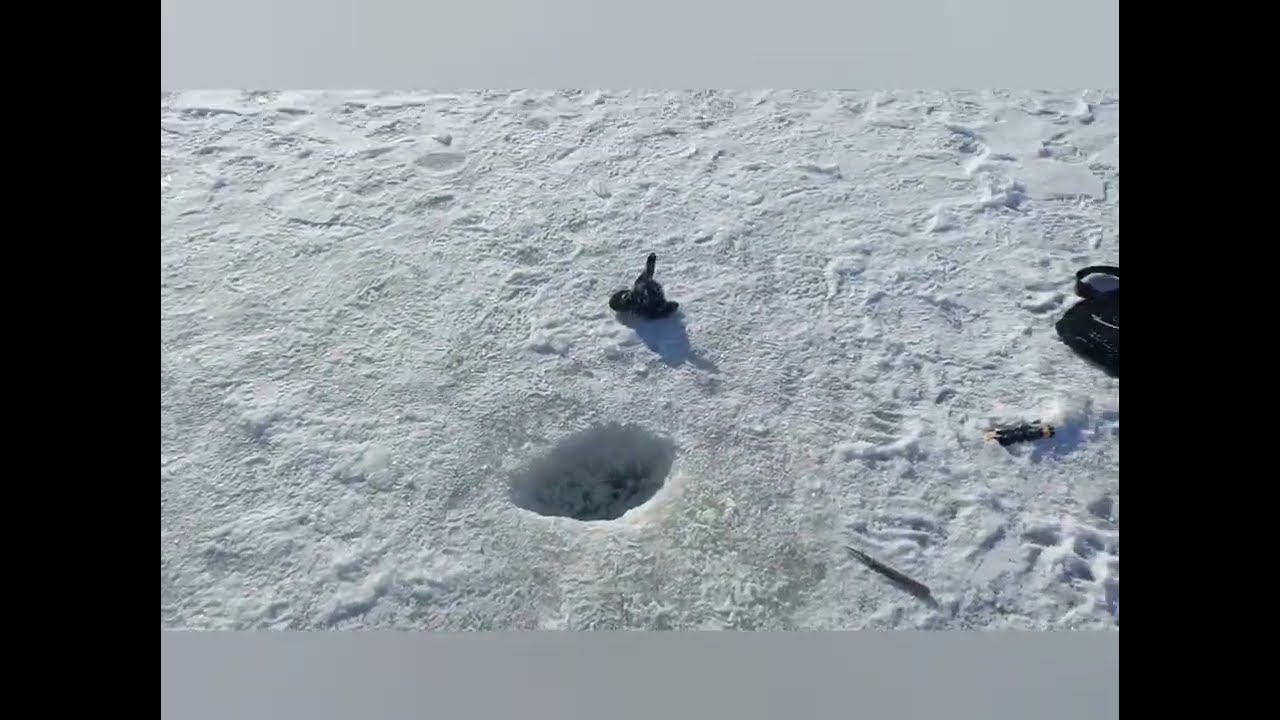 Первое видео ,,Ознакомление