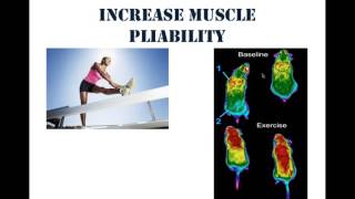 Increased in Muscle Pliability
