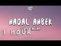 [ 1 HOUR ] Issam Alnajjar - Hadal Ahbek Slowed   Reverb ((Lyrics))