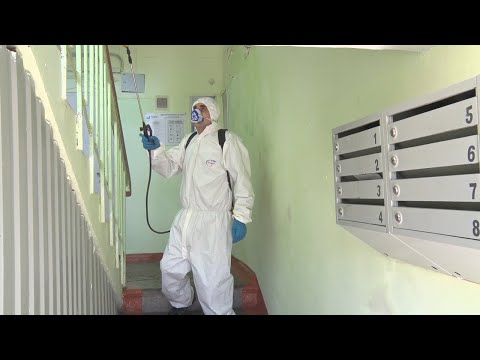 Дезинфекция подъездов многоэтажек и мест общего пользования