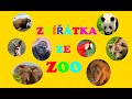 Zvířátka ze ZOO, výukové kartičky pro děti a děti s PAS, česky