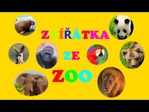 Video: Téma zoo zahrady – jak vytvořit zoo zahradu pro děti