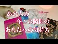 ❤️今この瞬間のあなたへの気持ち🌈タロット・オラクルカードリーディング【霊感】